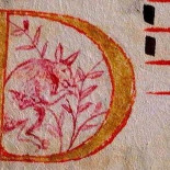 El canguro que puede cambiar la historia de Australia