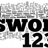 Las 25 contraseñas más utilizadas de 2013: No tenemos remedio