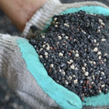 El fósforo se acaba