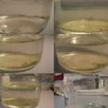 La hipótesis de la panspermia supera un nuevo test