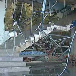 Mariló Montero pregunta si estaban vivos los calamares gigantes de un museo