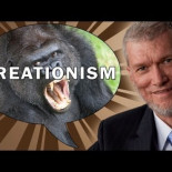 Respuesta a los 22 creacionistas por TheAmazingAtheist (ENG)