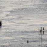 La Guardia Civil no auxilió a las personas que se ahogaban ni avisó a Salvamento o a Cruz Roja