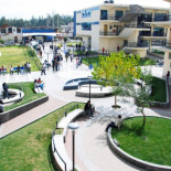 El binomio docencia/investigación en la universidad española