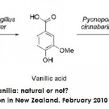 La vainilla natural es escasa, cara y casi toda la que consumimos es artificial