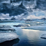 Encuentran por primera vez en el Ártico un parásito que ataca el cerebro