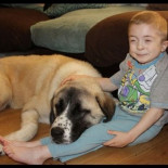 Este perro fue atado a las vías del tren. Este chico tiene una terrible enfermedad. Ahora mira esto