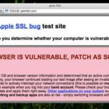 Apple y "goto fail", un fallo de seguridad en SSL/TLS y su posible relación con la NSA