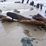 Pecio de siglos de antigüedad reaparece  en Ferrol (A Coruña) y queda arruinado por el abandono de la Xunta de Galicia