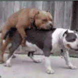 34 gifs que resumen tu primera experiencia sexual