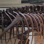 Menéame y el canon AEDE