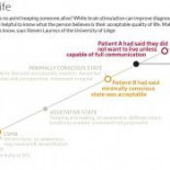 La estimulación eléctrica del cerebro devuelve temporalmente la consciencia a pacientes en estado vegetativo [ENG]