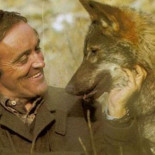 ¿Hace cuanto que no escuchabas esta sintonía…?