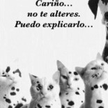 El dudoso negocio de vender coartadas para escurrir el bulto