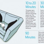 ¿Durante cuánto tiempo deberíamos hacer la siesta?