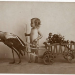 La curiosa historia de como se descubrió que las cigüeñas emigraban