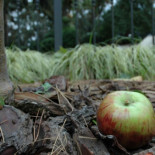 Si Newton hubiera escrito en un blog...