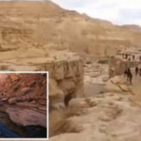 El increíble momento en que un río rebrota en el desierto de Israel [ING]