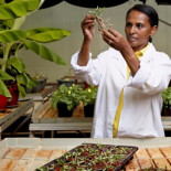 La mujer que quiere devolver la hierba a África