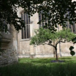 Grandes historias de la ciencia que nunca sucedieron