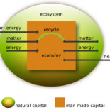 Las falacias del crecimiento económico