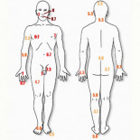 Las zonas donde no quieres que te pique una abeja