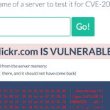 Tor: si quieres privacidad o anonimato, aléjate de internet durante esta semana (ENG)