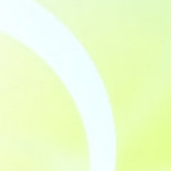 En busca del programador más barato, en busca del harakiri de una industria