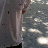 Pelea entre militantes del PP de Reus durante la bendición de las Palmas (CAT)