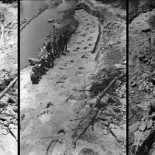 Reconstruyen una persecución entre dinosaurios de hace 110 millones de años