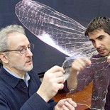 Cinco materiales extraños que podrían cambiar el mundo