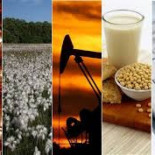 Las 10 materias primas más negociadas