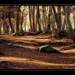 ¿Qué ocurrirá cuando, dentro de no mucho tiempo, ya no sea necesario el trabajo humano?