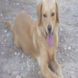 Muere un hombre ahogado cuando intentaba rescatar a su perro de dentro de un pozo