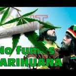 JOINT - No Fumes Marihuana