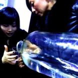 Dándole al licor de arroz con "los sustitutos”