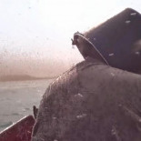 Atravesando una enorme nube de mosquitos con un cubo en la cabeza