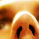 Un experimento muestra que los humanos usan feromonas para identificar al otro sexo