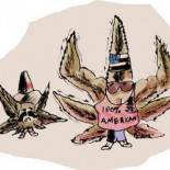 Los campos de cultivo de cannabis en EEUU empiezan a dejar sin negocio a los cárteles de la droga mexicanos [ENG]