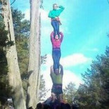 Sierran una de las ramas del 'Pi de les Tres Branques' [CAT]