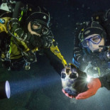 El cráneo que  tiene la clave de cómo se pobló América