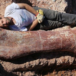 Hallan en Argentina al "dinosaurio más grande jamás descubierto"