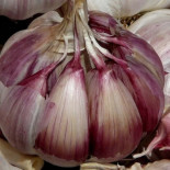 Alarma en Cuenca: la entrada masiva de ajo chino podría llevar a la ruina a toda una comarca