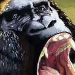 El insólito motín de los animales feroces que se tomaron un barco