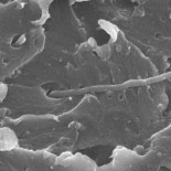 Un error de laboratorio hace que IBM descubra una nueva familia de polímeros autoreparables [Eng]