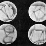 El gran lío de los canales marcianos