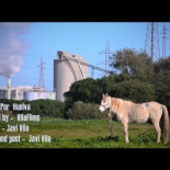 Carta abierta a Jordi Évole sobre el programa Salvados del 25/5/2014