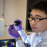 Científicos resuelven el misterio de por qué se degradan las baterías