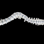 La reconstrucción 3D revela que el ‘rey jorobado’ Ricardo III no lo era tanto