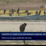 Conoce al científico que descontaminó gratis una laguna natural